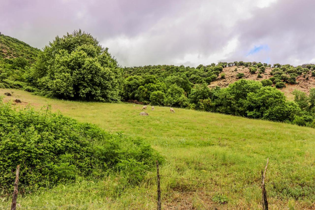 Country Home Genesi 20 Min From Trikala Экстерьер фото