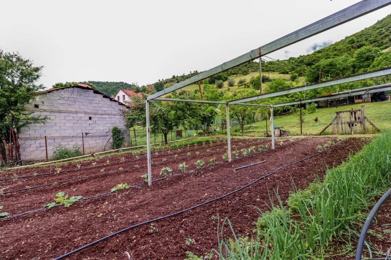 Country Home Genesi 20 Min From Trikala Экстерьер фото