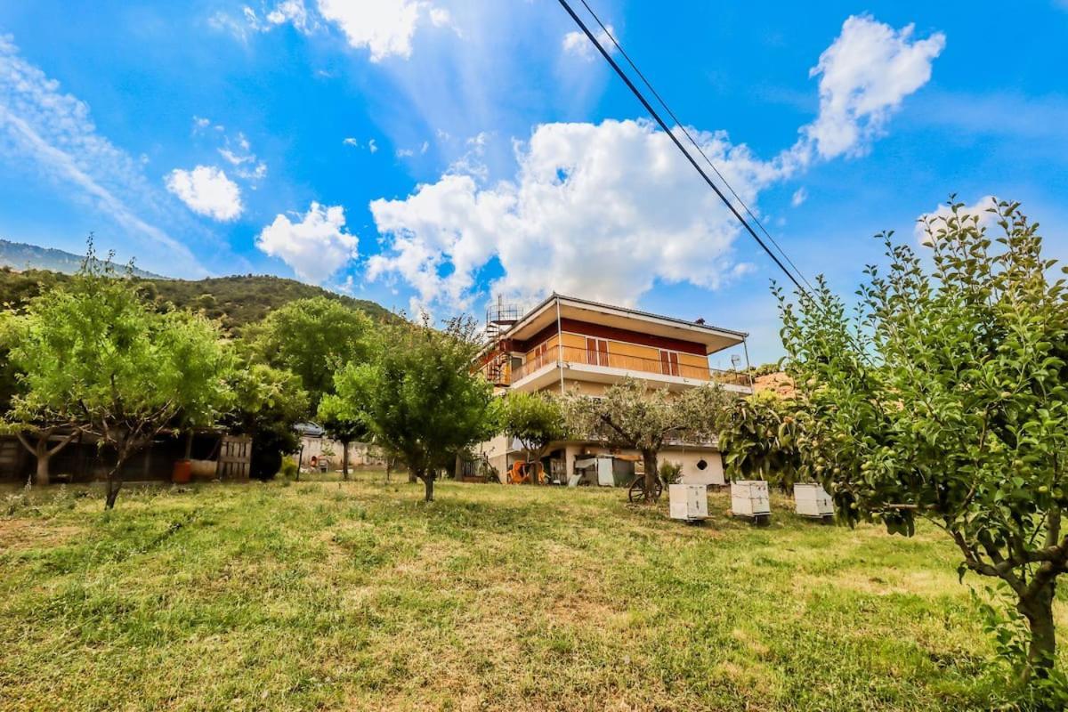 Country Home Genesi 20 Min From Trikala Экстерьер фото
