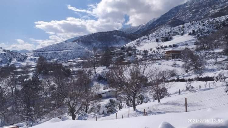 Country Home Genesi 20 Min From Trikala Экстерьер фото