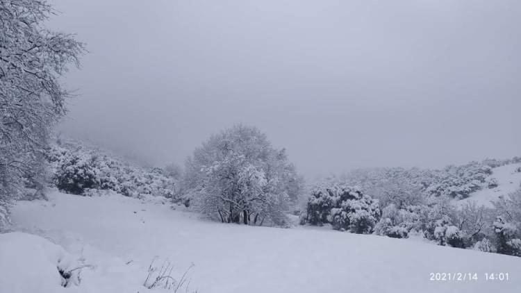 Country Home Genesi 20 Min From Trikala Экстерьер фото