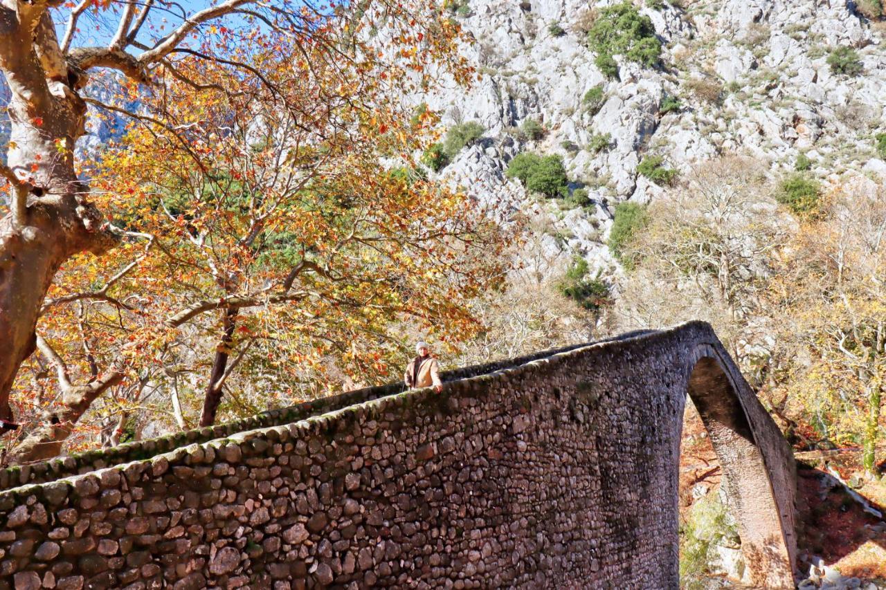 Country Home Genesi 20 Min From Trikala Экстерьер фото