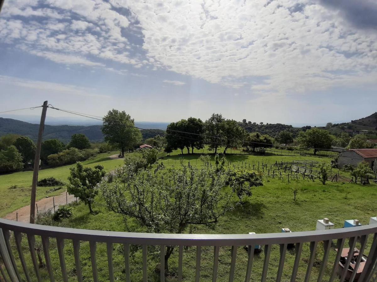 Country Home Genesi 20 Min From Trikala Экстерьер фото