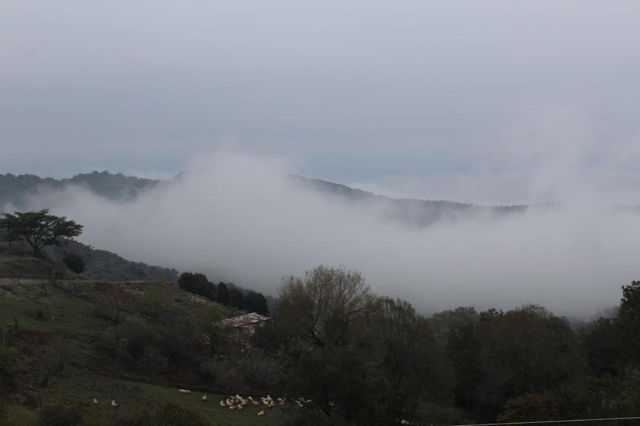 Country Home Genesi 20 Min From Trikala Экстерьер фото