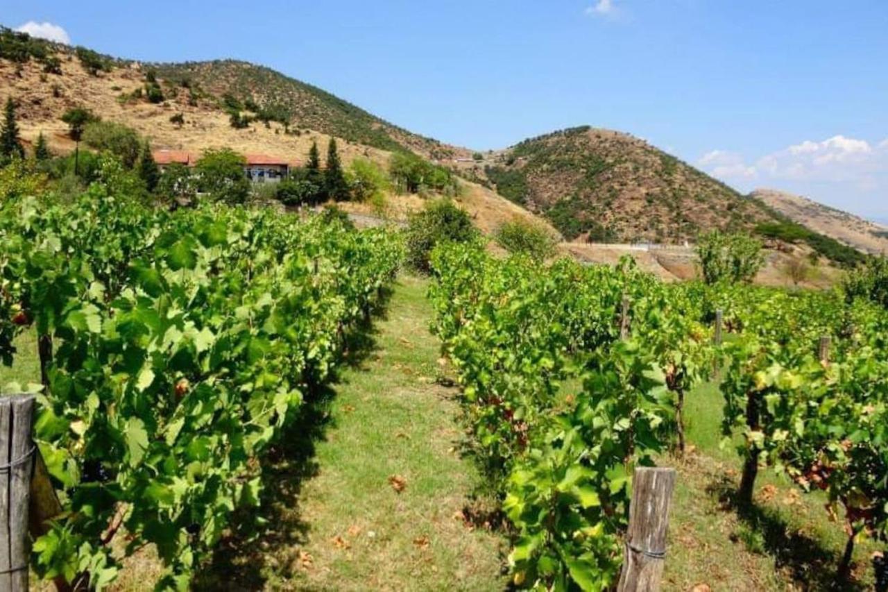 Country Home Genesi 20 Min From Trikala Экстерьер фото