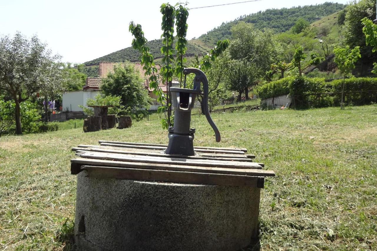 Country Home Genesi 20 Min From Trikala Экстерьер фото