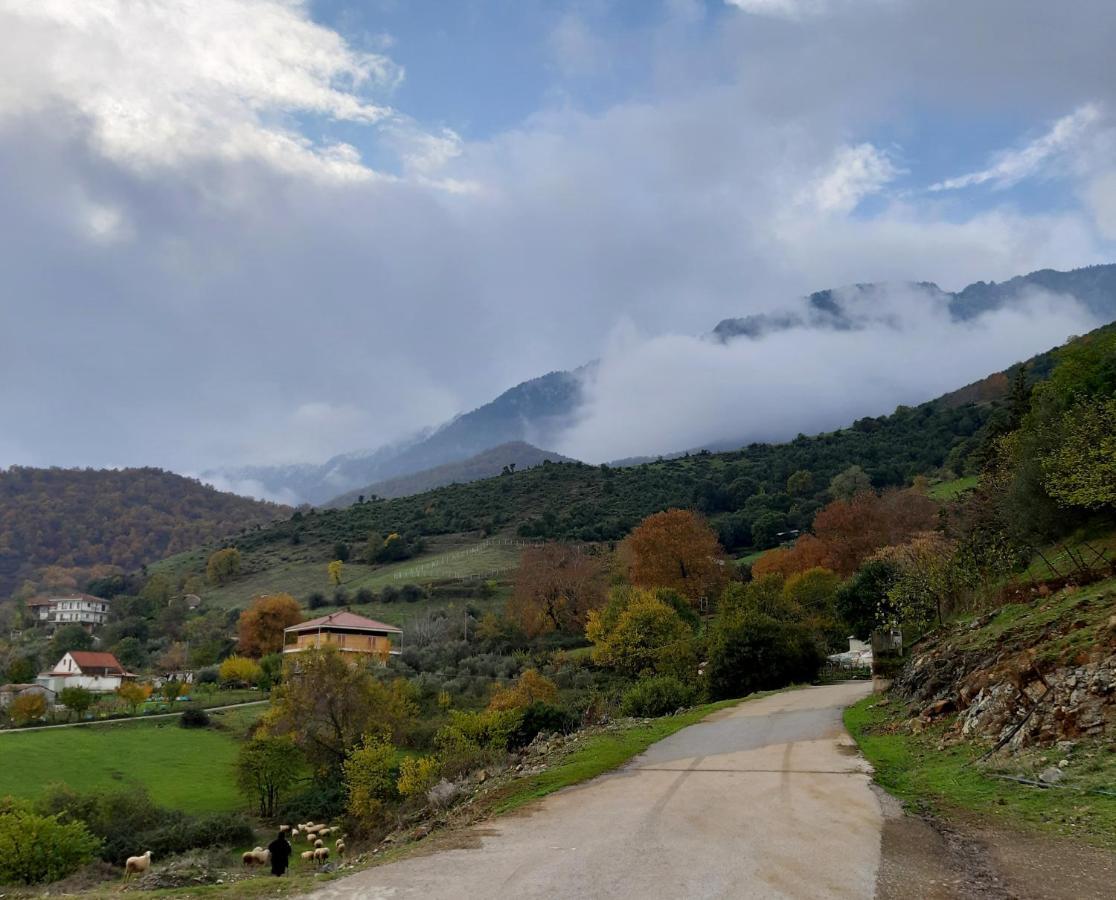 Country Home Genesi 20 Min From Trikala Экстерьер фото